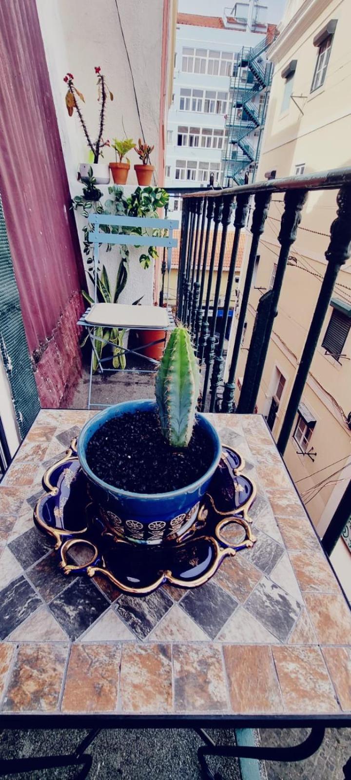 Charming Central Apartment To Rent Lissabon Buitenkant foto