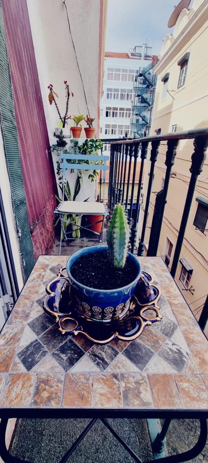 Charming Central Apartment To Rent Lissabon Buitenkant foto